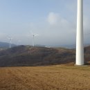 팀 팻보이 이미지