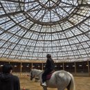 승마펜션 | 26-1 경희대 승마 수업 후기_대부도 베르아델 승마클럽