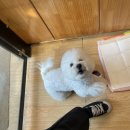 이쁘개멋있개 이미지