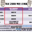 서울온누리약국 이미지