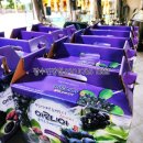 장수생즙건강원 이미지