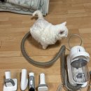 펫스마트 | 럽마이펫 스마트 진공 미용기 1 리얼후기