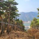 주식회사 메모리얼