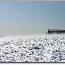 종일목장 이미지