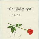 국민문학사