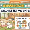 메리펫 | 2026년 메리펫애견유치원 이용 가이드 시설 및 프로그램과 최근 주요 이슈 완벽 정리