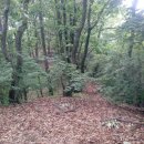 새별태양광발전소 이미지