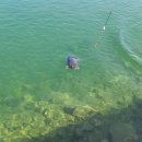 가평낚시터 이미지