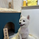 환해지개 이미지