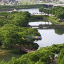 임실덕천리가침박달군락 이미지