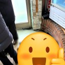 오리와생태의만남 이미지