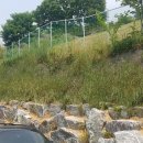 조선대학교병원 이미지