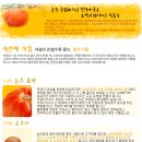 오색식품
