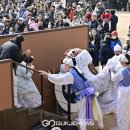 도는놈 뛰는놈 나는놈 이미지