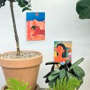 하유플라워 | 대전서구꽃집 만년동 하유플라워, 귀여운 화분 선물 후기🌵