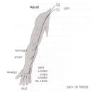 경추의 검사(Examination of The Cervical Spine) 이미지