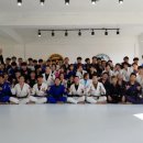 라텔 주짓수,복싱 강서 이미지