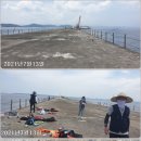 신신낚시신항만점