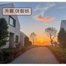 어림향 | *애월 카페 추천* 카페 어림비 제주 자연과 조화로운 커피 경험