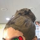 올가드림헤어 이미지