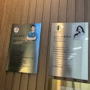 페인프리바디랩필라테스 | 필라테스 교육, 볼테라피 페인프리 필라테스에서 진짜 배운 하루
