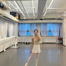 에카디자인 - 420 | 발레 레오타드 유미코 직구 다니엘라,마리사 비교 착샷, 델라로 에카테 후기