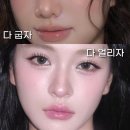 다굽자 - 화성시 | 다굽자