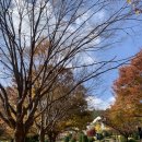 파랑새유치원.어린이집 이미지