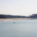 천리포항 이미지