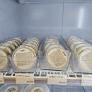 몽땅멍냥 이미지