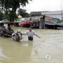 공치는날 이미지