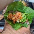 자갈마당포차 이미지