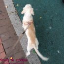 만안구청_하 이미지