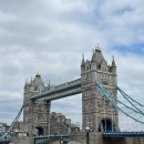 두류댕댕 | 하면 해 가면 가🇬🇧 Day3