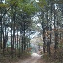 전첨 류세구묘역 이미지