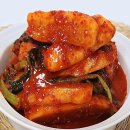 웰빙촌