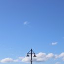 뉴질랜드 한국전 참 | 뉴질랜드 워홀 후기 1 : 한국이 싫어서, 하지만 좋아서