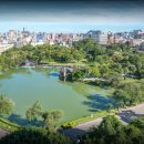 샴푸안마시술소 이미지