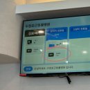 수청포근동물병원 | 당진 동물병원 오픈 *광견병주사 맞으러* (수청 포근 동물 병원)