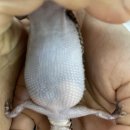 한성동물병원 이미지