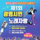 광명 시민회관 공연장 이미지