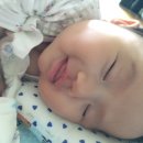 행복한 꿈을 꾸는  이미지