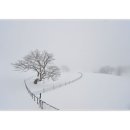 마음목장 이미지