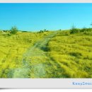 화이트 밸리 이미지