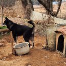 두상농장 이미지