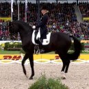 FEI European Championships Aachen 2015 / Dressage 이미지