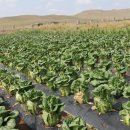 지구촌농장 이미지