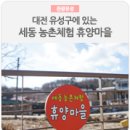 부귀면세동보건진료소 | 대전 유성구 세동농촌체험 휴양마을을 가다!