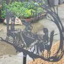 청담신의의원 이미지