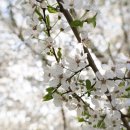 전주기독병원 이미지